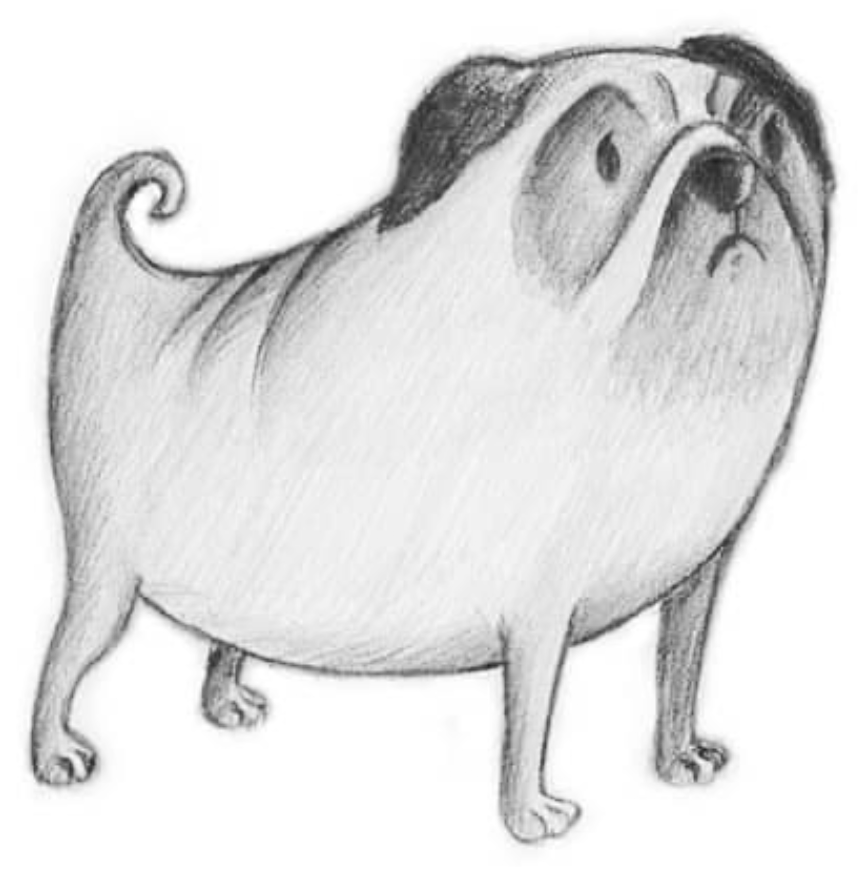 play_pug_sketch