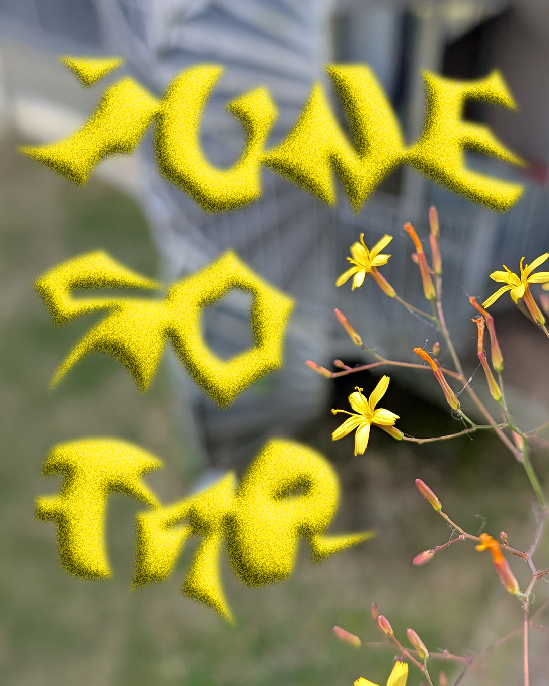 June_Sofar_Title_02